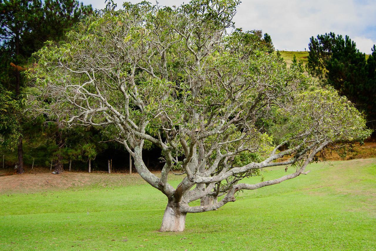 Joanópolis Hotel Fazenda Santa Rita المظهر الخارجي الصورة